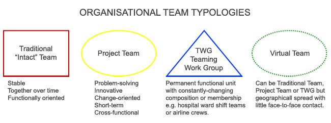 Organisational Team Typologies